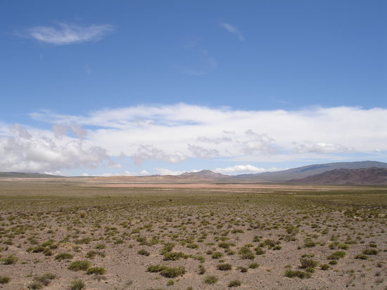 Aus grün wird braun