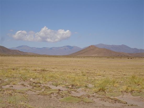 Zwischen den Salinas Grandes und San Antonio de los Cobres
