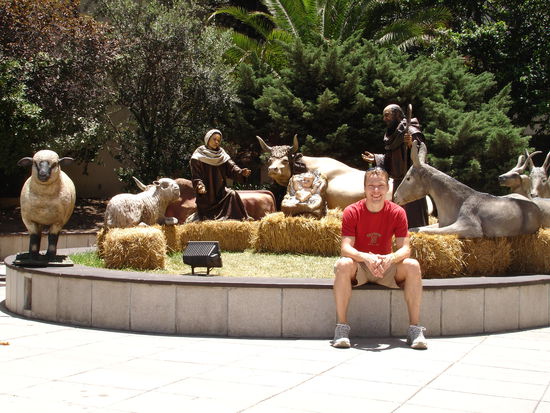 Die komplette Krippe unter Palmen