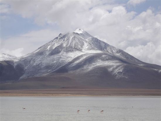 Laguna Blanca und die Flamingos