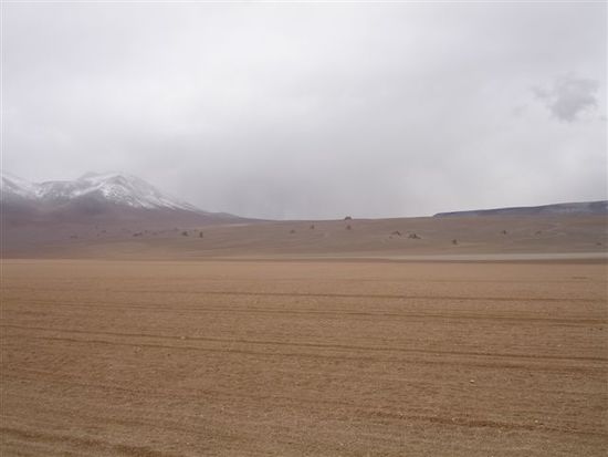 Die Dali Wüste in mystischem Nebel