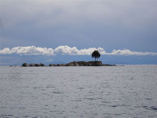 Eine einsame Insel mit zwei Bäumen, damit man sich eine Hängematte spannen kann