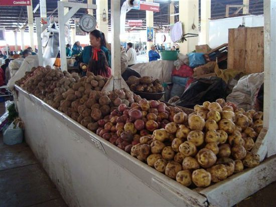 In Peru soll es über 4000 verschiedene Kartoffelarten geben.