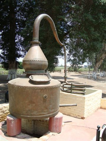 Pisco- Maschine