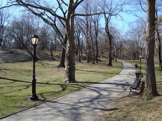 Morgen-Jogging im Central Park