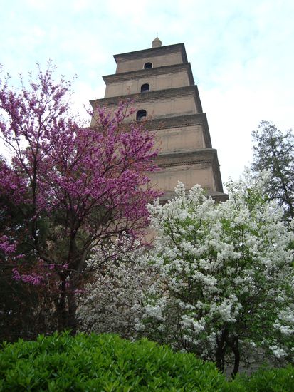 Fruehling in Xian