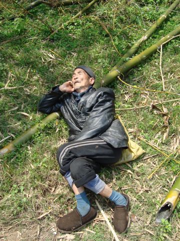 Chinese bei der Siesta