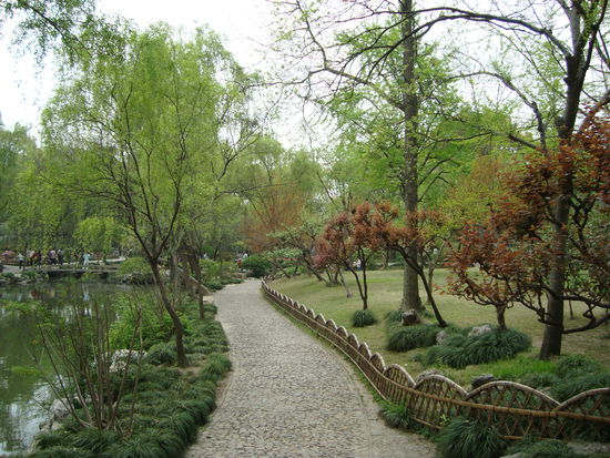 ... verschiedene sich immer wieder kreuzende Wege...