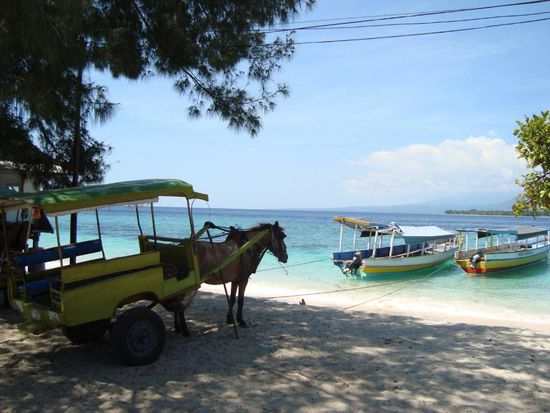 Die einzigen Fortbewegungsmittel auf Gili Meno: Horse Cart und Fischerboot