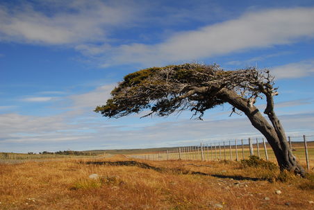 Der Wind kann hier auch ganz anders...