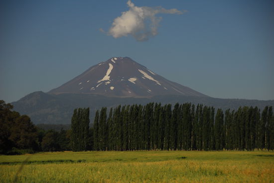 Vulkan Lonquimay - nur ein Kameraschwenk nach rechts von dieser Stelle erhebt sich genauso eindrucksvoll der Vulkan Llaima.