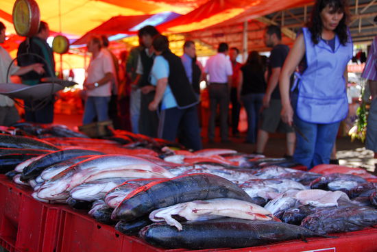Vielfaeltig, frisch und appetitlich ist das Angebot auf dem Markt - bis auf eine angebotene rohe Muschel mit Zitrone konnte ich aber allen Versuchungen widerstehen