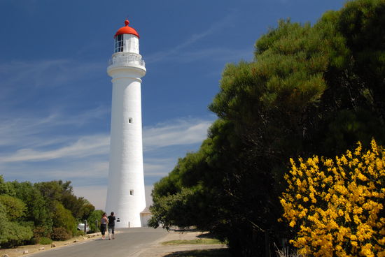 Das Split Point Lighthouse an der Great Ocean Road