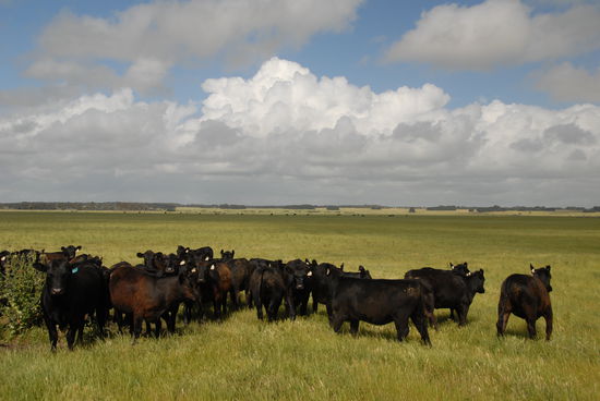 So sieht's aus, wenn man dem Ozean untreu wird - ueber hunderte Kilometer...