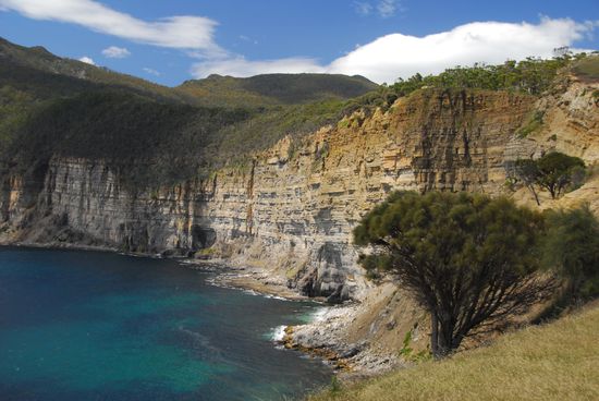 Die Fossil Cliffs auf Maria Island mit maechtigen Schichten versteinerter Meersbewohner.