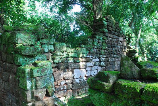 Zahlreiche andere Reduktionen in der Region hat sich der Regenwald zurueck geholt