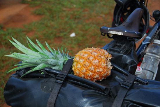 ...und eine frische Ananas im Gepaeck ist immer eine gute Idee. Wie heissen eigentlich diese Fruechte, die so aehnlich aussehen, wenn sie bei uns verkauft werden aber nach nichts schmecken? So wie diese muessen sie schmecken - auch wenn eine einzelne Ananas ein bisschen zu wenig ist
