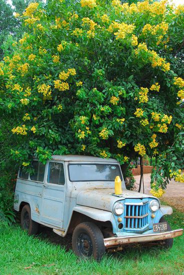 Suedamerika ist fuer Oldtimerfreunde ein Paradies - und sie sind auch auf den Strassen zahlreich unerwegs!