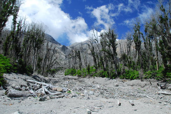 Der Vulcano Chaiten und sein zerstoererisches Werk - noch immer steigen Rauchwolken aus dem Krater auf.