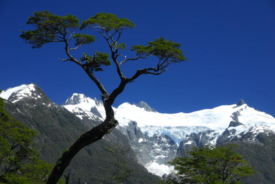 Traumlandschaften und Traumwetter - Radler was willst du mehr!