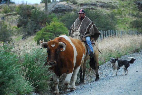 Begegnung auf der Carreterra Autral