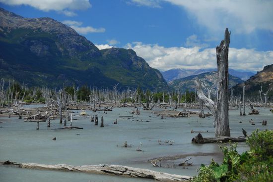 Und noch mehr Landschaft...