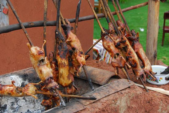 An mindestens zehn Staenden am Strassenrand wurden die frisch gegrillten Meerschweinchen fuer 40 Soles pro Stueck feilgeboten - umgerechnet 12 Euro, hier ein richtig teures Essen.