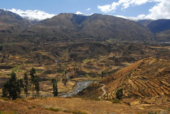 Schnee bedeckte Berge und die groessten zusammenhaengenden Terrassenanlagen Suedamerikas - wieder ein Erbe der Inka-Zeit, das bis heute genutzt wird