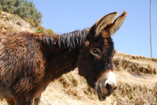 Aber man kann sich ja auch an anderen Dingen erfreuen...