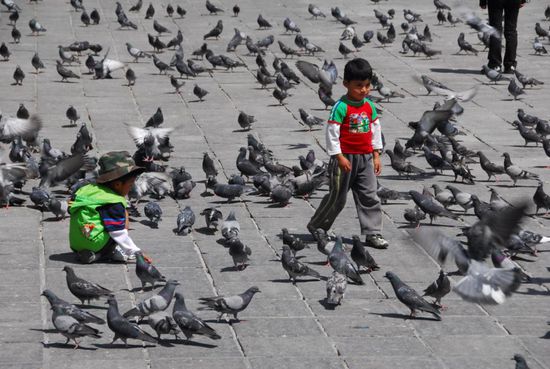 Szenen wie auf vielen Plazas grosser Staedte