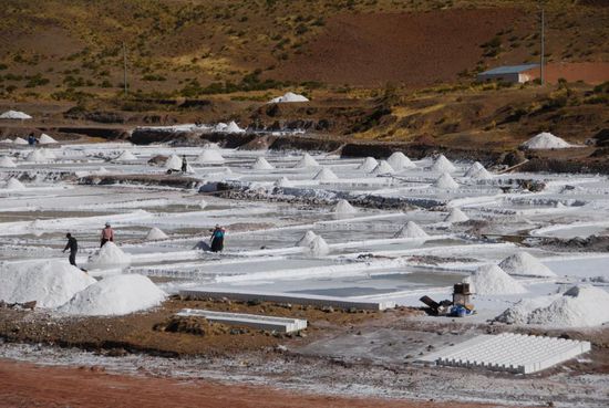 Voellig unerwartet tauchen in der Weite des Altiplano wieder einmal eine Saline auf - je weiter man in der Landschaft vordringt, umso mehr bestimmt das Salz das Bild und die Vegetation