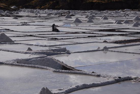 Knochenarbeit in strahlendem Sonnenschein und gleissendem Weiss
