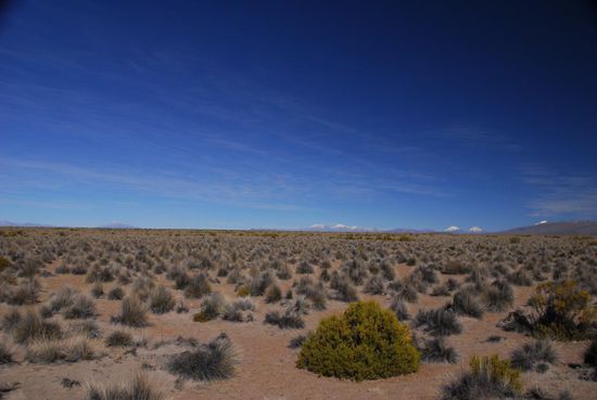 Endlose Weite, nur am Horizont sind schneebeckte Vulkane erkennbar, die dann aber auch gleich bis zu 6500m hoch sind.