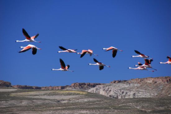 Nicht nur die Fahrt in der Gruppe macht es mir nach dem Frust der vergangenen Tage leicht, auch die Landschaft bietet beim Start in Alota mit einem schoenen Flusstal zu Beginn Abwechslung fuer das Auge