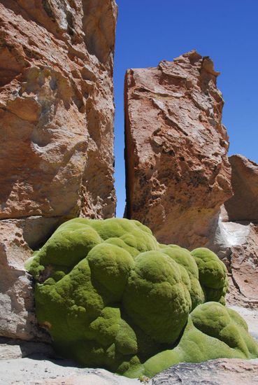 Einfach so im Nichts: Bizarre Felsen mit dicken Moospolstern
