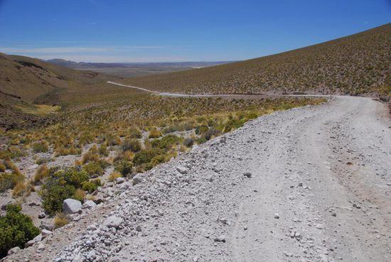 Lange, lange Steigungen machen uns das Leben schwer. Immerhin ist der Schotter hier sehr gut fahrbar. Und es gibt noch Vegetation.