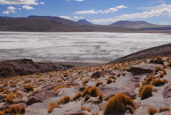 Auf ca. 4400m wieder ein Salar