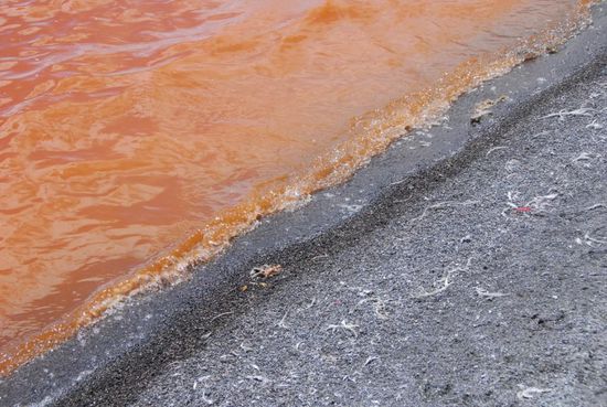 Und das Wasser ist wirklich kraeftig rot!