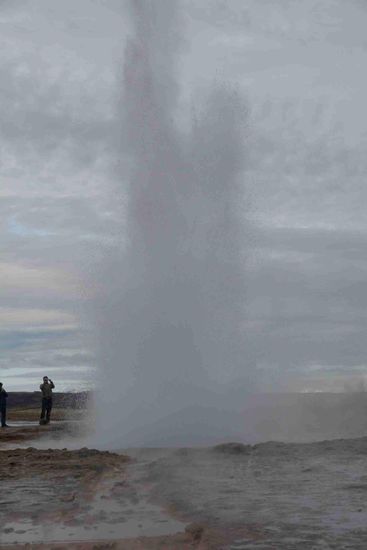 ...nur schade, dass der Hintergrund auch grau ist