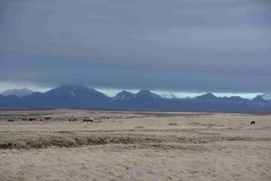 Auf dem Weg zum Gullfoss