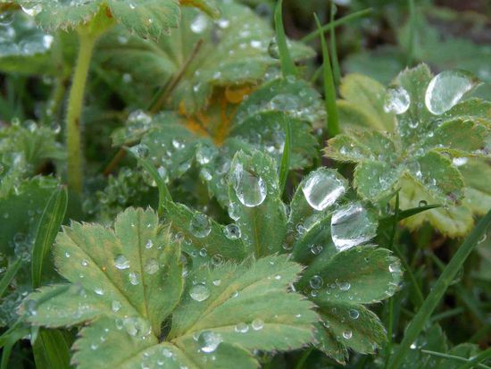 Mit der Zeit ein vertrauter Anblick: Alles ist vom Dauerregen nass