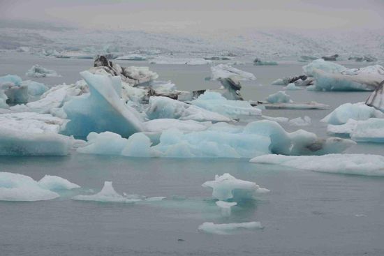 Im Hintergrund der Vatnajökul, der unablässig Eisberge in die Lagune kalbt