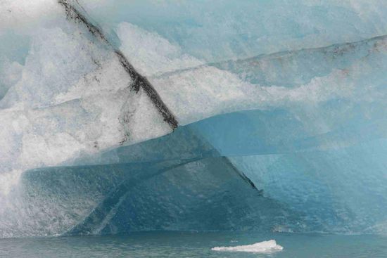 Das Blau soll nur eine optische Täuschung sein - ist aber täuschend echt!