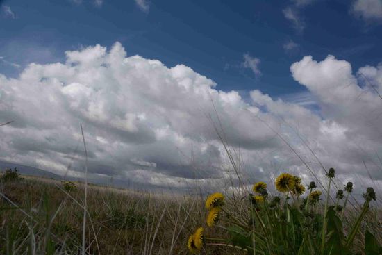 Und noch mehr Wolken