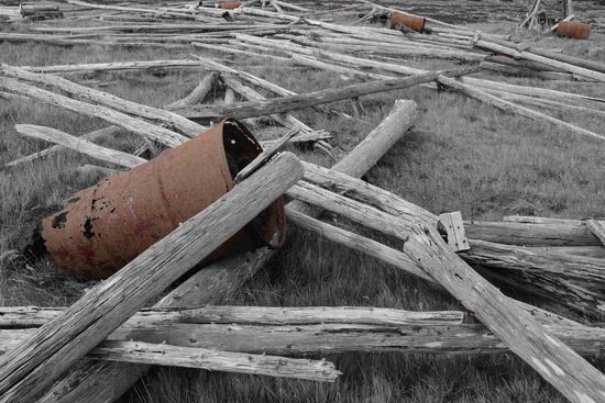 Fotomotive ohne Ende auf dem alten Fischtrockenplatz - und dazwischen explosiver Restmüll