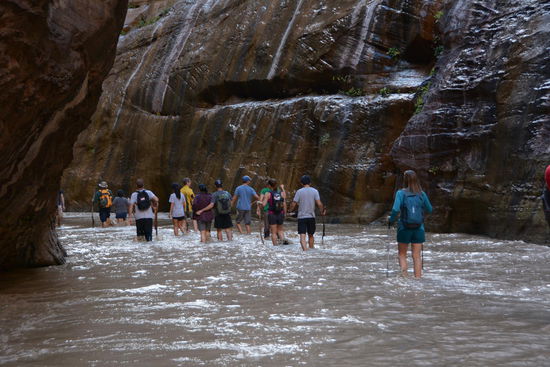 Hier ist man nicht allein! Die Shuttlebusse sind ueberfuellt und hunderte, wenn nicht tausende Touristen machen sich auf den Weg in die Schlucht am Ende des Zion Canyon