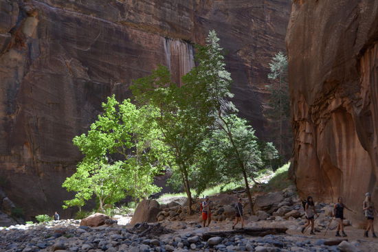 Und immer neue Motive