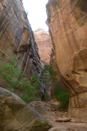 Es wird enger und noch steiler (steiler als senkrecht oder ueberhaengend geht doch nicht)