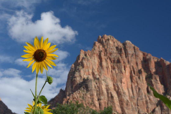 Die Felsen rund um die Campingplatz zeigen sich im schoensten Abendlicht