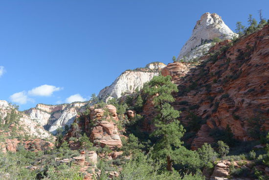 Immer noch Zion Natioal Park, allerdings mit voellig anderem Gesicht